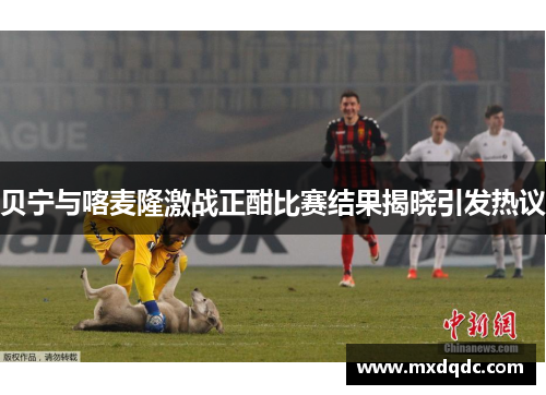 贝宁与喀麦隆激战正酣比赛结果揭晓引发热议