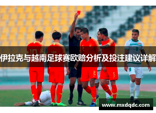 伊拉克与越南足球赛欧赔分析及投注建议详解