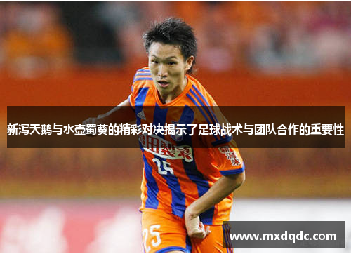 新泻天鹅与水壶蜀葵的精彩对决揭示了足球战术与团队合作的重要性