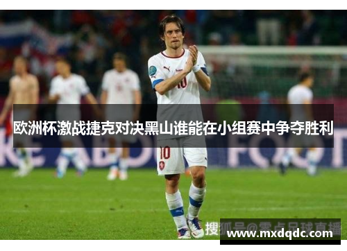 欧洲杯激战捷克对决黑山谁能在小组赛中争夺胜利